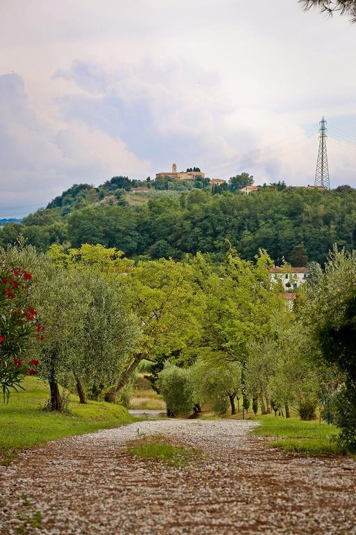 Podere Lo Stringaio Fauglia Værelse billede