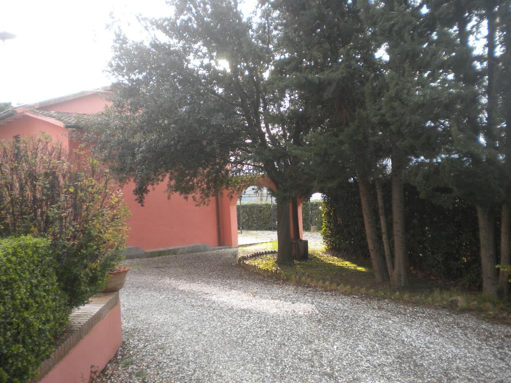 Podere Lo Stringaio Fauglia Værelse billede