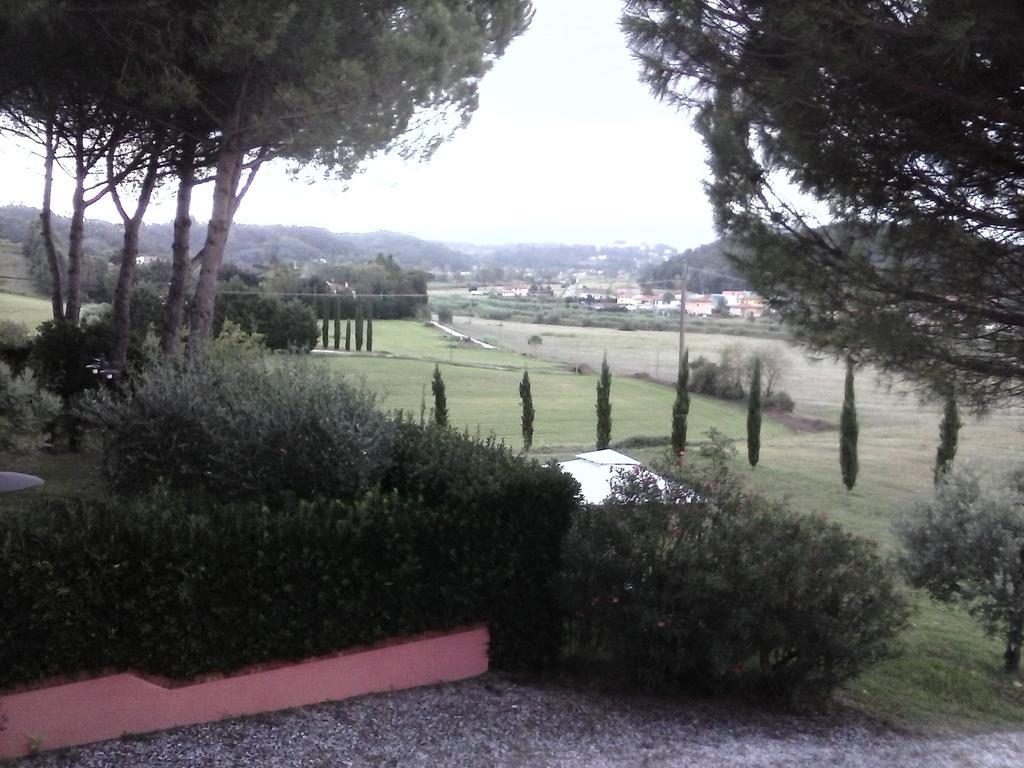 Podere Lo Stringaio Fauglia Værelse billede