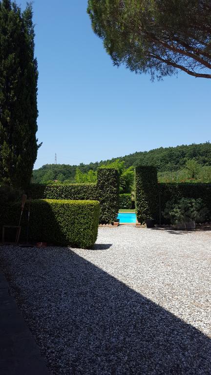 Podere Lo Stringaio Fauglia Eksteriør billede