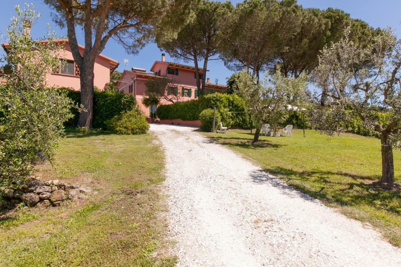 Podere Lo Stringaio Fauglia Eksteriør billede